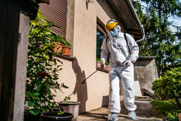 Best Insect Control  in Kingston, PA