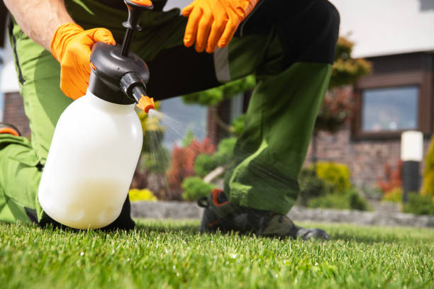Best Affordable Pest Control Services  in Kingston, PA