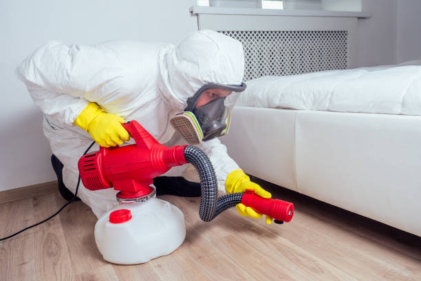 Pest Prevention Services in Kingston, PA