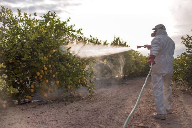 Best Commercial Pest Control Services  in Kingston, PA