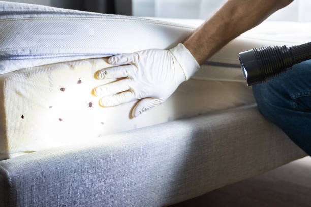Best Exterminator Services  in Kingston, PA