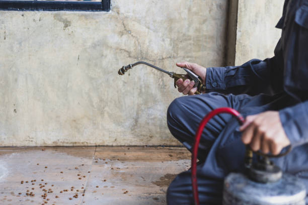 Best Pest Removal Services  in Kingston, PA